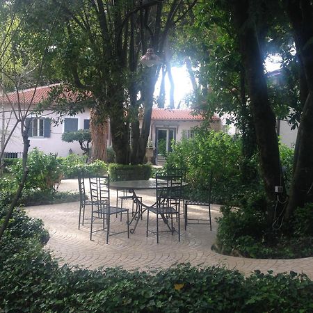 Villa Abbamer Гротаферата Екстериор снимка