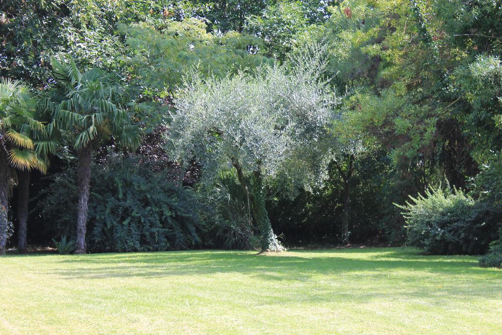 Villa Abbamer Гротаферата Екстериор снимка