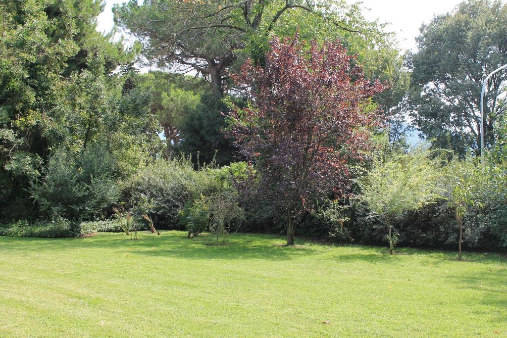 Villa Abbamer Гротаферата Екстериор снимка